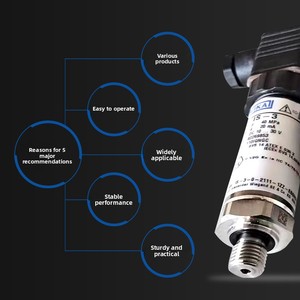 Capteurs de type diaphragme absolus pour la série IS-3, 0 ... 6 000 bars, pour l'industrie chimique et pétrochimique - Product Image 4