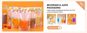 Custom-Made Antistatic Ziplock <b>Bag</b> in LDPE/HDPE Materials Resealable Top Zipper Sealing Stand Pouch Storage Packaging - Product Image 4