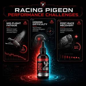 Polvo de Arginina B15 para <span class=keywords><strong>Palomas</strong></span> de Competición, Calidad Champion B12 6000S, Oxigenación de Alta Velocidad, Construcción Sanguínea, Energía y Resistencia Diaria - Product Image 2