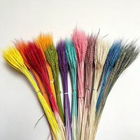 Tiges de blé préservées arc-en-ciel tendance, écologiques, 60 tiges par bouquet, vente en gros pour la décoration de vases à la maison, de mariages et d'événements