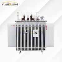 Transformador de Distribución Trifásico de 11kV 50kVA 100kVA 250kVA IEC con Bobinado de Cobre, Totalmente Sellado, para Distribución Residencial
