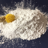 Phosphate Tricalcique (TCP) de Qualité Alimentaire en Vrac 25KG, Vente Chaude, Haute Qualité