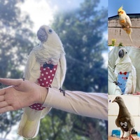 Costumes de vol doux oiseaux vêtements de perroquets réutilisables lavables couches de Pigeon de perroquet mignon Mini Ara perruche canari couches d'oiseau