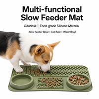 Gamelle pour chien en silicone moderne, écologique, portable, anti-déversement, avec bord rainuré, pour alimentation lente et tapis à lécher, résistante aux morsures, pour une utilisation sans souci