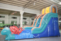 Toboggan aquatique gonflable pas cher pour enfants, grand toboggan aquatique gonflable Kahuna