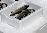 Machines de moulage de forme de boîte de mousse EPS automatique sous vide Longwell en Chine