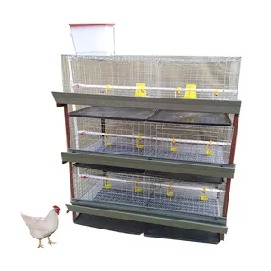 H type Broiler Chicken Cages /broiler cage for poultry farms