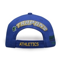 Amerikaanse Baseballpet Groothandel 100% Polyester 3d Borduurwerk Gradiënt Blauwe Mode Baseballpet