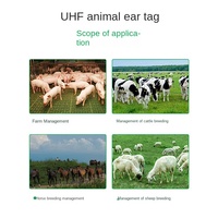Étiquettes d'oreille RFID personnalisées de haute qualité 134,2 kHz avec puce EM4305 pour l'élevage, étiquettes intelligentes pour fermes