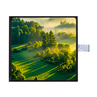 Pantalla TFT MIPI Cuadrada de 10 Pulgadas al por Mayor de Fábrica, Módulo de Pantalla LCD IPS de Alto Brillo, Resolución de 1200x1200, Compatible con Pantalla Táctil
