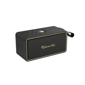 Caixa de Som Portátil Sem Fio T21, 60W, com Controle de Graves e Agudos, Ideal para Casa, Atividades ao Ar Livre e Presentes - Product Image 1