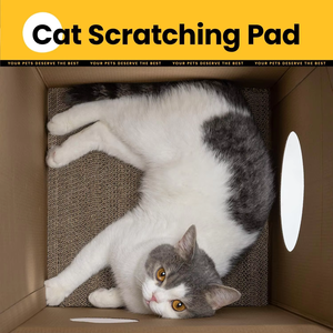 Faltbarer feuchtigkeit beständiger Karton-OEM/ODM Custom ized Milk <span class=keywords><strong>House</strong></span> <span class=keywords><strong>Cat</strong></span> Shelter, tragbares Katzen haus für den Innen-und Außenbereich - Product Image 3