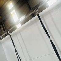Baignoire métallique en acier inoxydable 304 avec élévateur électrique pour le lavage des pieds et le bain des animaux, indispensable pour les animaleries et les cliniques vétérinaires.