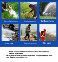 Pompe à eau portable agricole 5 CV à moteur essence 2/3 pouce pour transfert d'eau et irrigation de jardin