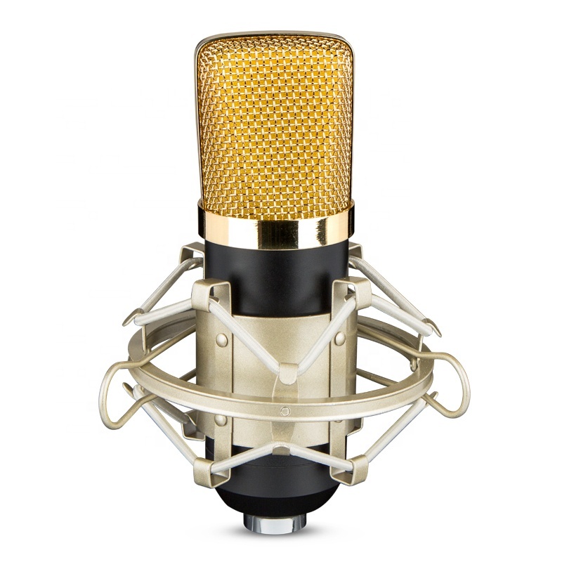 Estudio de grabación de radiodifusión profesional BM700 micrófono condensador