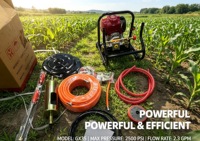 Pulvérisateur portable GX35 à quatre temps, pompe à diaphragme en laiton haute pression, accessoires complets, machine de pulvérisation de pesticides agricoles