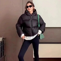 Blousons d'hiver matelassés et rembourrés pour femmes, personnalisés, écologiques, imperméables, en toile teinte, coupe courte, à capuche, épais