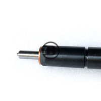Accesorios para miniexcavadoras Entrega en almacén Buen valor Tipos ricos Inyector CKBAL96P953