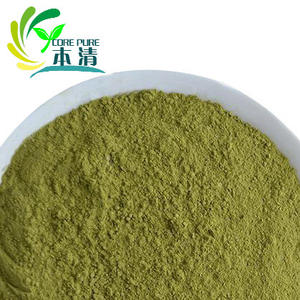 Preço de fábrica Venda Quente Ingrediente Japonês Pó Do Tempero Do Wasabi Do Produto Comestível 1Kg Pó Orgânico Puro Do Wasabi - Product Image 3