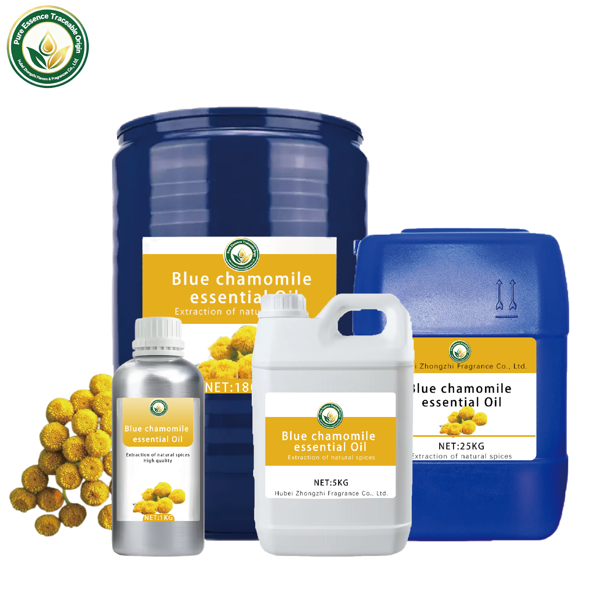 Deep blue to dark blue