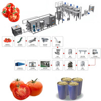 Fabrieksprijs Tomatenpuree Maken Machine Tomatenjam Puree Verwerkingslijn Ketchup Productielijn