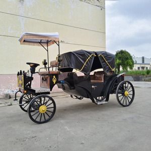 Venta Directa de Fábrica en China: Carruaje de Caballos Turístico de 2 Filas, Carruaje de Caballos Victoriano para Bodas - Product Image 1
