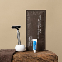 Vente en gros, logo personnalisé, haute qualité, top ventes, kit dentifrice et brosse à dents jetables pour hôtels 5 étoiles