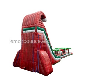 Tobogán Acuático Inflable Personalizado <span class=keywords><strong>para</strong></span> Fiestas en el Patio Trasero <span class=keywords><strong>con</strong></span> <span class=keywords><strong>Piscina</strong></span> <span class=keywords><strong>de</strong></span> Chapoteo, <span class=keywords><strong>Casa</strong></span> <span class=keywords><strong>de</strong></span> Brinco Inflable <span class=keywords><strong>para</strong></span> <span class=keywords><strong>Alquiler</strong></span> en <span class=keywords><strong>Eventos</strong></span> - Product Image 4