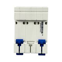 Disjoncteur Miniature série NXB-63 CHNT NXB-63 3P C25 petit RCBO/MCCB/RCB avec courant nominal 25A et Protection LI