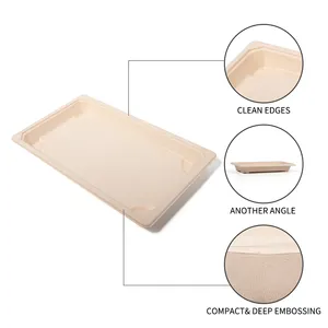 Eco Friendly Biodegradable Tray Bagasse Sugarcane Molded Meat Tray Fruit Sushi Tray