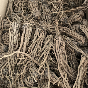 当归全根干品出售 - Product Image 4