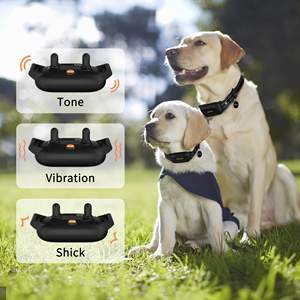 2025 Rechargeable IPX7 Étanche <span class=keywords><strong>300M</strong></span> <span class=keywords><strong>Range</strong></span> <span class=keywords><strong>Dog</strong></span> Training Shock <span class=keywords><strong>Collar</strong></span> Meilleurs produits du fabricant-Matériau en nylon plastique - Product Image 4