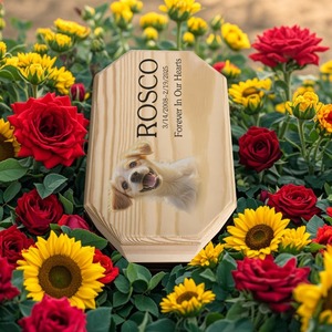 Urna Conmemorativa de Madera Octogonal Hecha a Mano, Ecológica y de Lujo, para Mascotas, Perros y Gatos, Cajas para Cenizas de Mascotas Pequeñas - Product Image 3