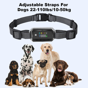 GF02 <span class=keywords><strong>Collier</strong></span> d'entraînement de clôture GPS sans fil télécommandé intelligent pour <span class=keywords><strong>chien</strong></span> avec vibration, punition statique, enregistrement vocal. - Product Image 5