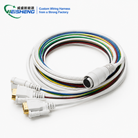 Perangkat Diagnostik Kabel Medis Kustom Rakitan Kabel OEM ODM Sesuai ISO 13485 dan FDA Langsung dari Pabrik