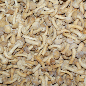 Sinocharm HACCP, venta al por mayor de ostras, <span class=keywords><strong>Boletus</strong></span> <span class=keywords><strong>Edulis</strong></span>, setas mixtas congeladas Bleand IQF Mix, setas de China - Product Image 1