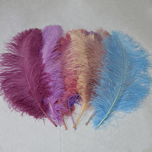 Grandes Plumes d'Autruche Artificielles Blanches de 15-80 cm, en Vrac, pour Décorations de Fête, Mariages, Carnavals, Artisanat, Teintes Naturellement, Offre à Bas Prix - Product Image 5