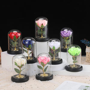 Cadeau de la Saint-Valentin, anniversaire, petite amie, romantique, fleurs éternelles en plastique, couverture en verre artificiel, veilleuse décorative - Product Image 1