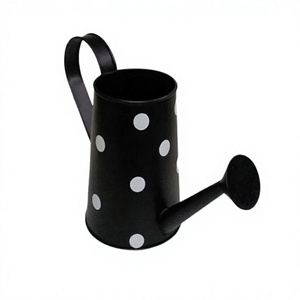 Arrosoir en fer noir de style antique avec pulvérisateur, qualité supérieure, pour usage intérieur et extérieur - Product Image 1