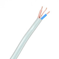 6242-Y 500V Flache Doppel-Erdungsleitung Niederspannung Industrie- und Hausbau-Stromkabel PVC-Isolierte Massivkupfer-Spulen Elektrische Leitungen
