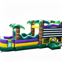 Structure gonflable d'obstacles Palm Beach pour jeux en plein air