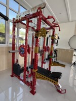 REYK REYK39 Machine à câbles en acier – Équipement de musculation multifonction Smith Front pour l'entraînement des biceps et des triceps, pile de poids de 75 kg, universelle