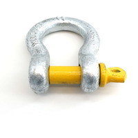 G210 G2150 manille métrique galvanisée à chaud pour levage marin