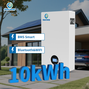 Batterie au lithium LiFePO4 51,2 V 48 V 200 Ah 10 kWh avec BMS intégré pour le stockage d'énergie domestique - Product Image 1