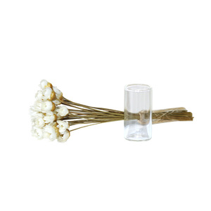 Accesorio en Miniatura para Casa de Muñecas, Ramo de Flores Secas, Flor Estrella Brasileña Fresca en una Botella de Vidrio K515 - Product Image 5