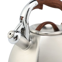 Bouilloire sifflante en acier inoxydable 3L, vente en gros usine, poignée en plastique écologique, protection contre la surchauffe, design moderne