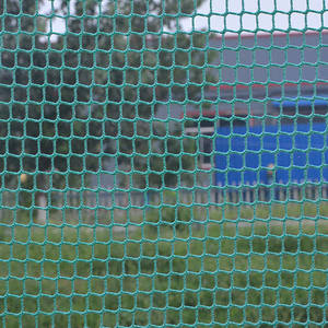 Hdpe Anti-Vogelgaas Voor Landbouw UV-Plastic Zeefgaas Om Gewassen Te Beschermen Druiven Op Maat Snijden Beschikbaar - Product Image 6