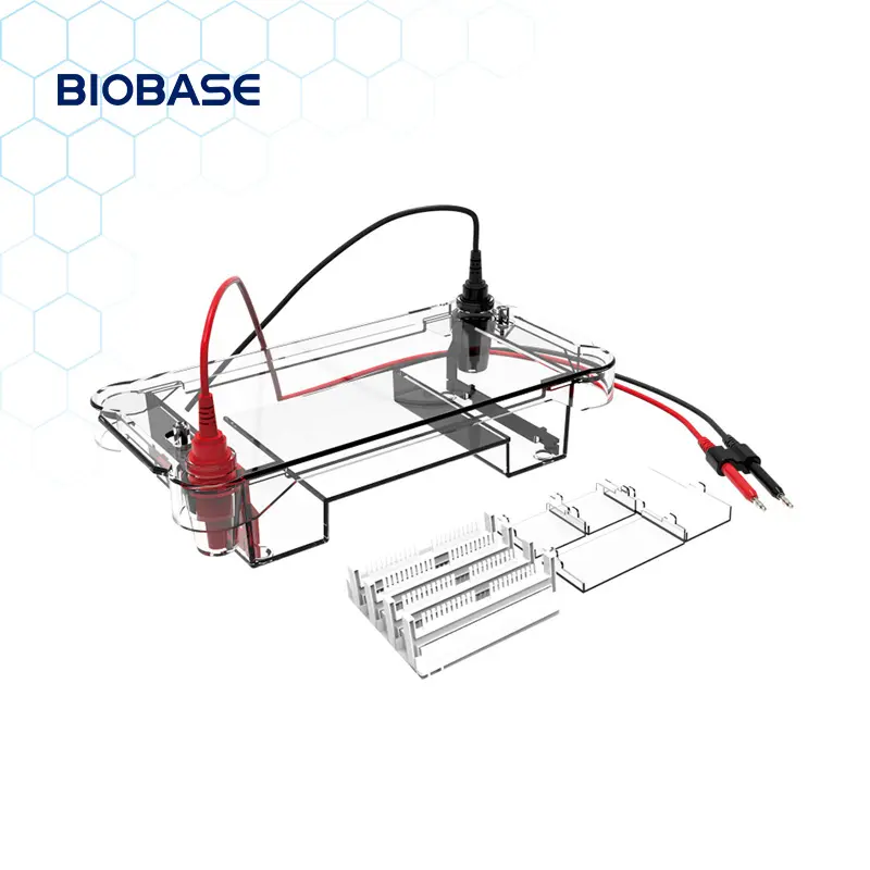 Biobase China hot selling Horizontal Electrophoresis Tank with Gel Trays