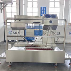 Station <span class=keywords><strong>de</strong></span> lavage <span class=keywords><strong>de</strong></span> chaussures pour l'industrie alimentaire, hygiène, <span class=keywords><strong>nettoyage</strong></span> avec lavage des mains <span class=keywords><strong>et</strong></span> désinfection - Product Image 3