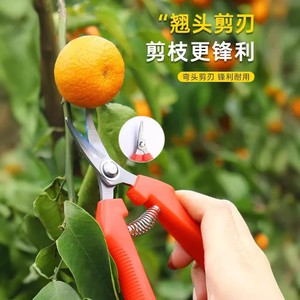 กรรไกรตัดผลไม้ สแตนเลส สีแดง แบบ Bypass ขนาด 10-20 มม. สำหรับตัดแต่งต้นไม้ผลไม้ - Product Image 3